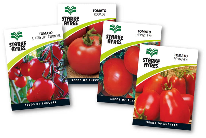 Starke-Ayres Tomato Seed -