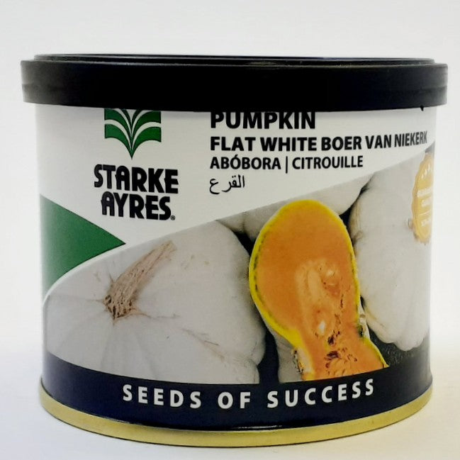 Starke-Ayres Pumpkin Flat White Boer 50G