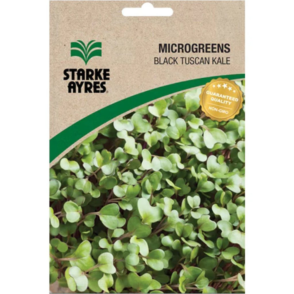 Starke-Ayres Black Tuscan Kale