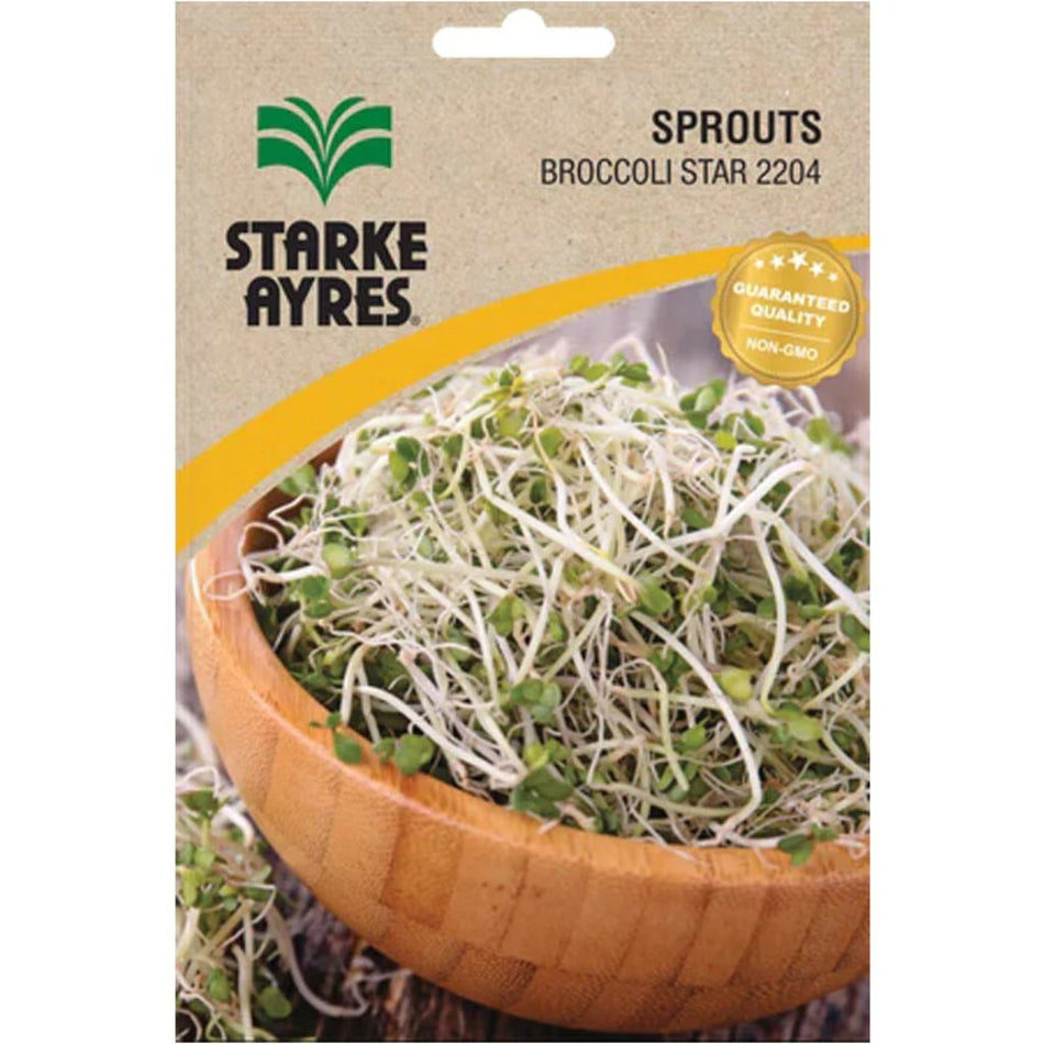 Starke-Ayres Broccoli - Sprouts