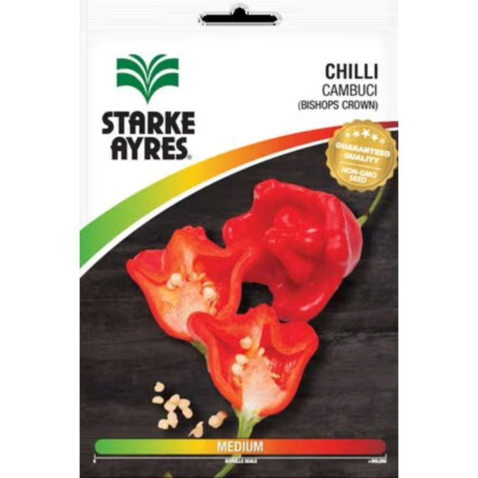 Starke-Ayres Chilli Cambuci