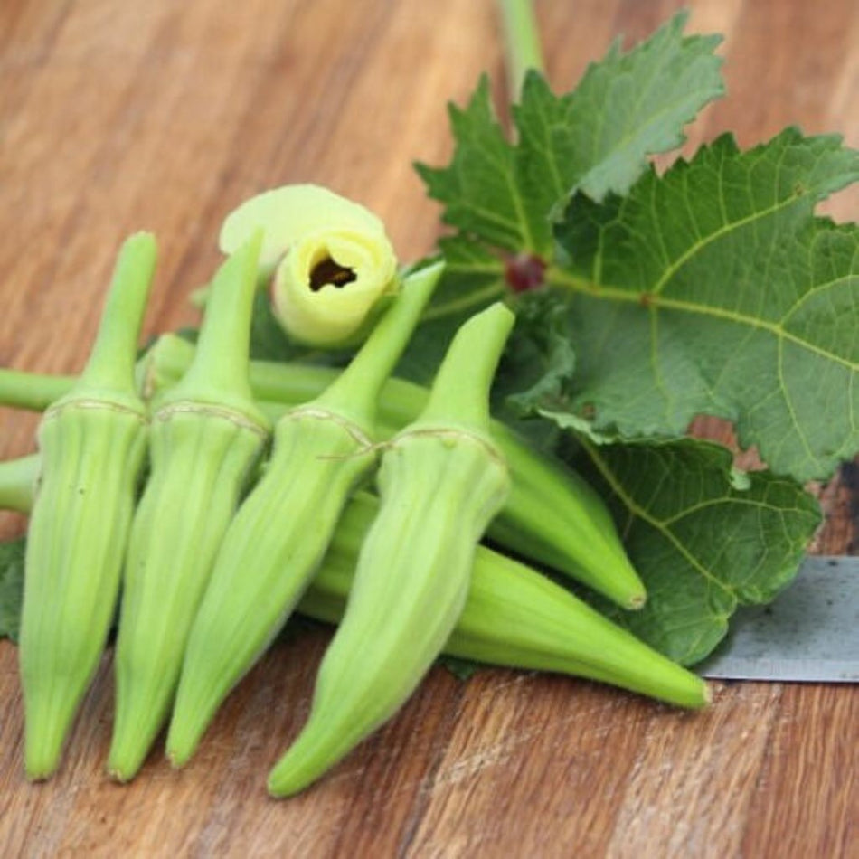Starke-Ayres Okra Clemson Spineless 100G
