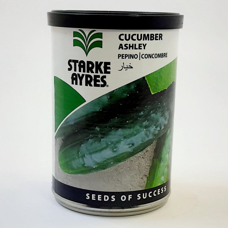 Starke-Ayres Cucumber Ashley 100G