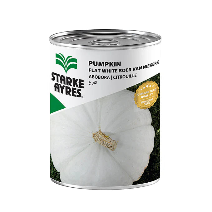 Starke-Ayres Pumpkin Flat White Boer 100G -
