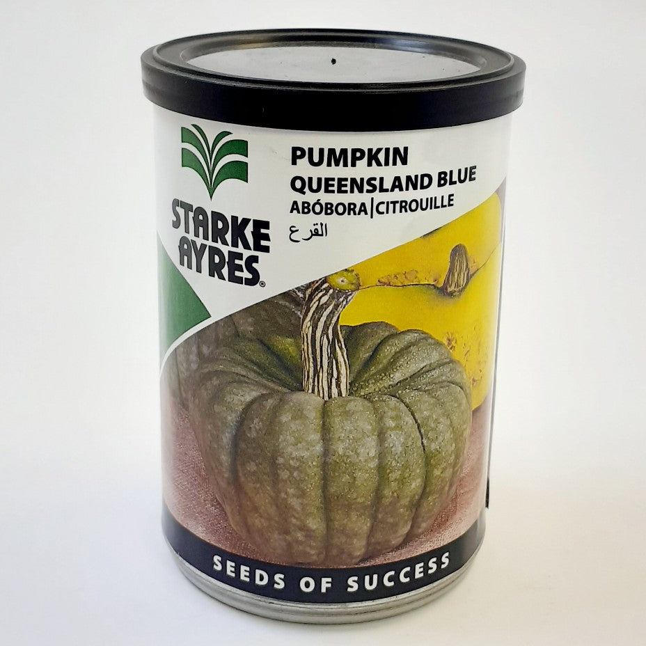 Starke-Ayres Pumpkin Queensland Blue 100G