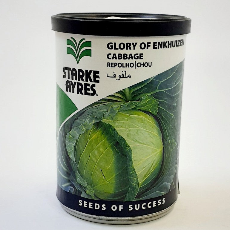 Starke-Ayres Gabbage Glory Of Enkhuizen 100G