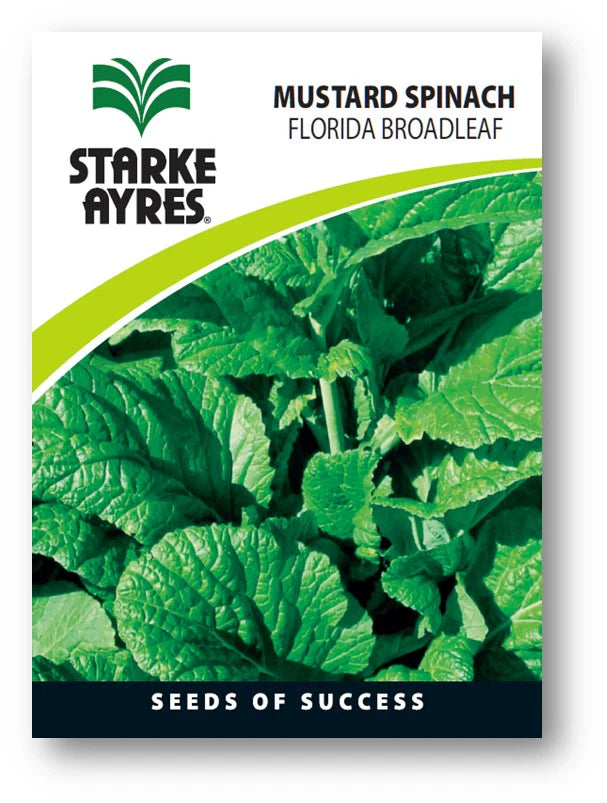 Starke-Ayres Mustard Spinach 100G -