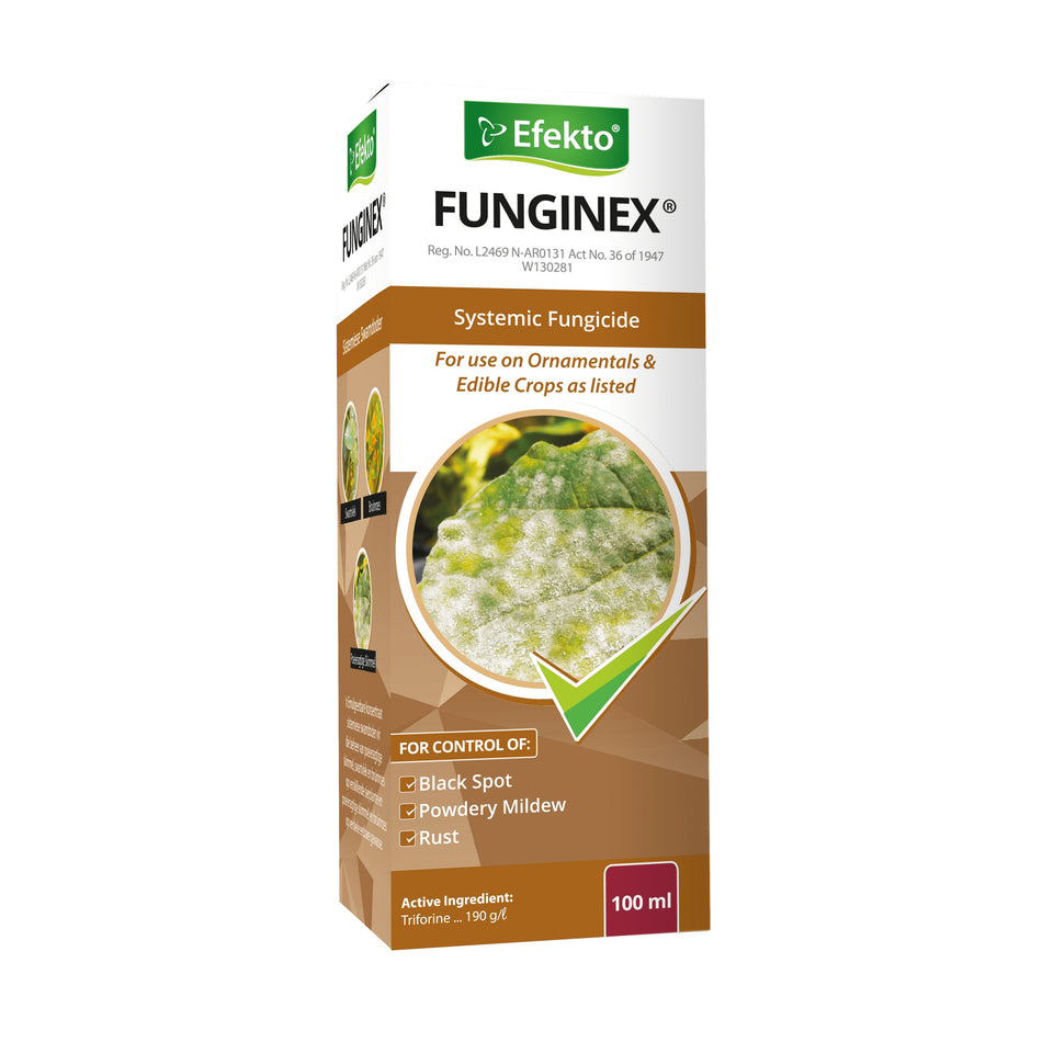 Efekto Funginex 100ml