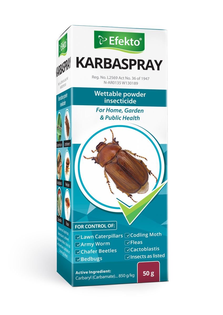 Efekto Karbaspray 50g