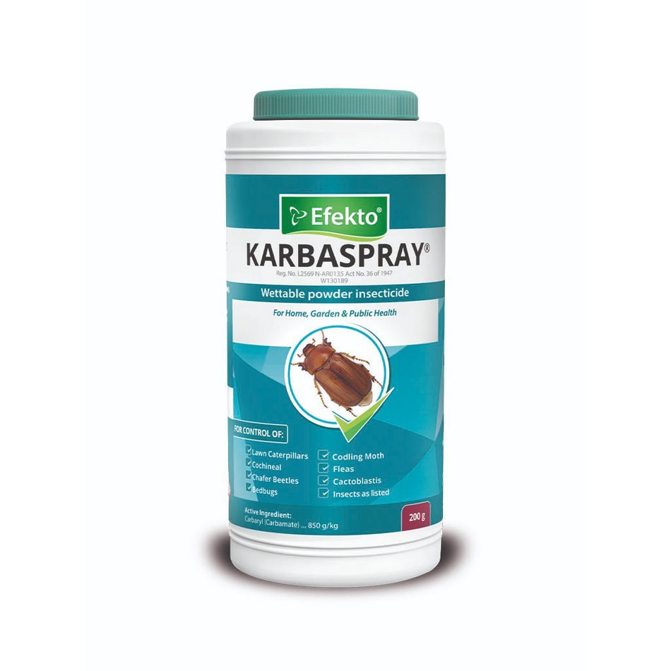 Efekto Karbaspray 200g