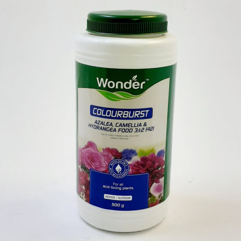 Wonder Colourburst Azalea 500g