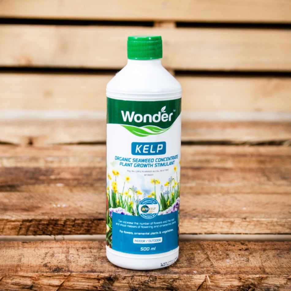 Wonder Kelp 500ml