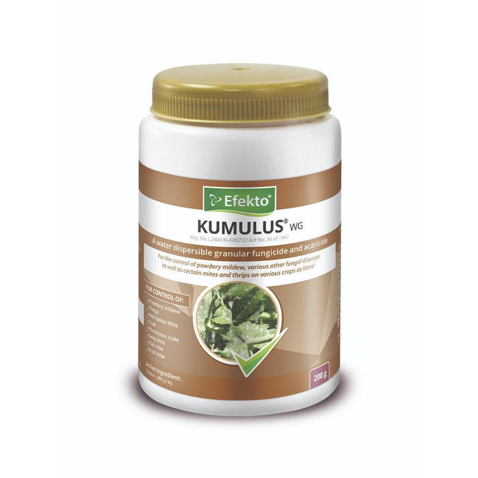 Efekto  Kumulus WG 200G