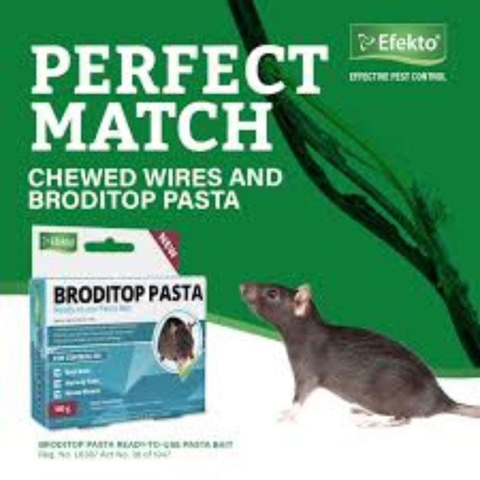 Efekto Broditop Pasta Bait 100G
