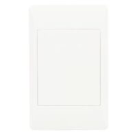 Cover Plate 100x50 PVC White -