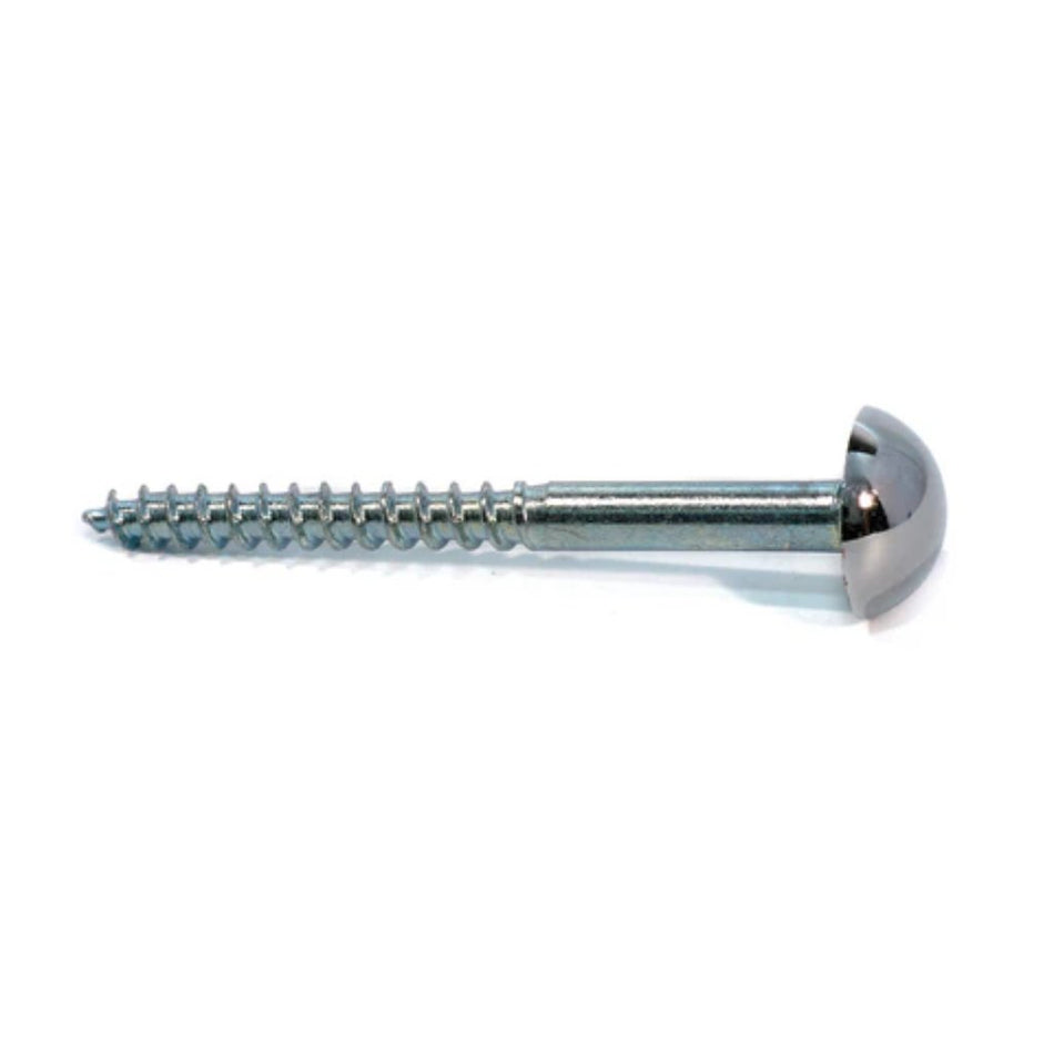 Ruwag Mirror Screw & Cap 4pc