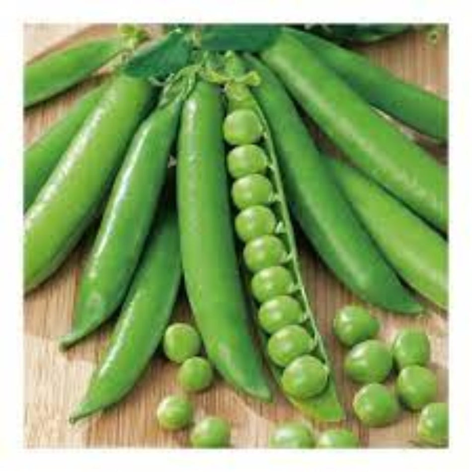 Starke-Ayres Peas Greenfeast 1KG