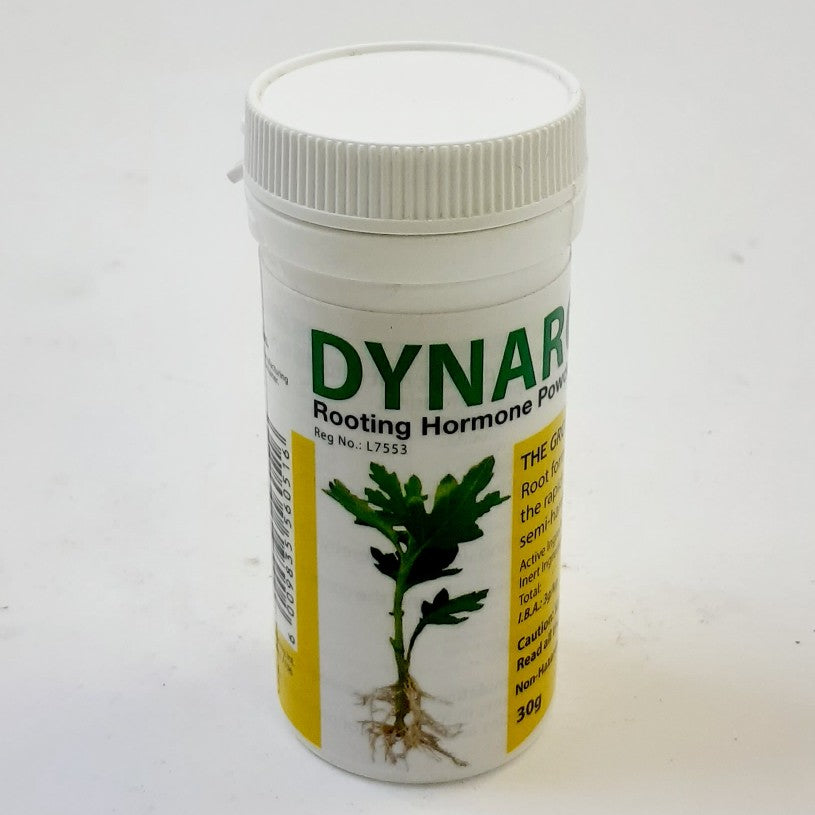 Starke-Ayres Dynaroot 2  30G