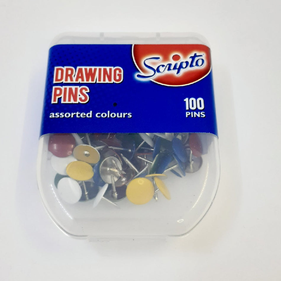 Scripto Drawing Pins Assorted Colours 100'S