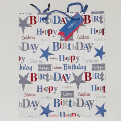 Scripto Large Gift Bag 32 x 26 x 12CM Assorted -