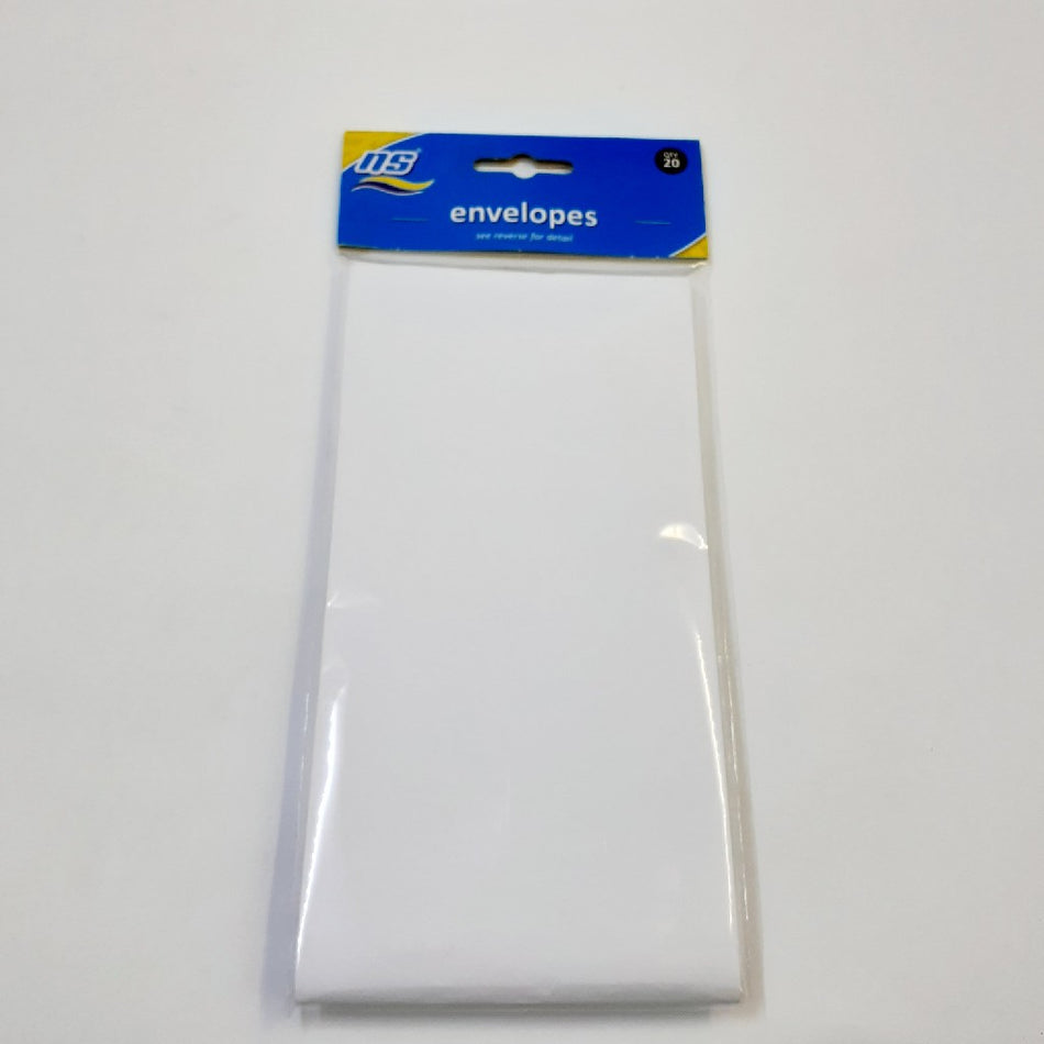 NS Envelopes 220X110MM Pocket White 20'S