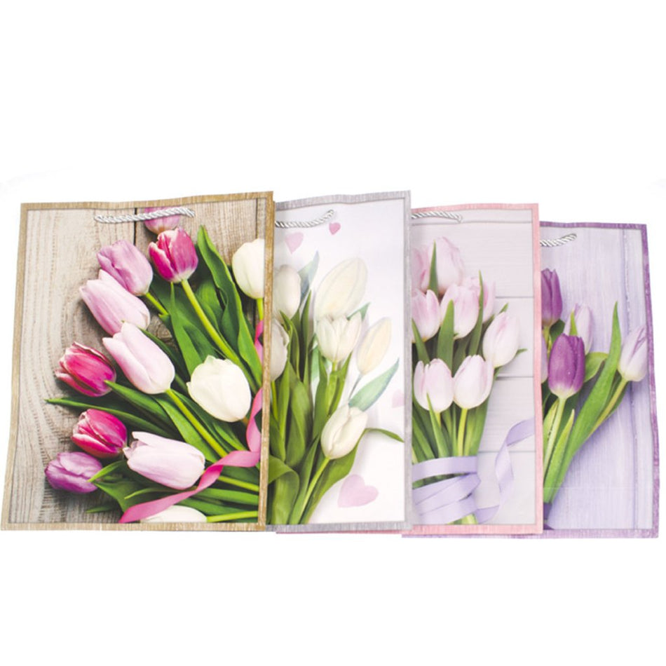 Wow Gift Bag Assorted 25.5X33X10CM 000971