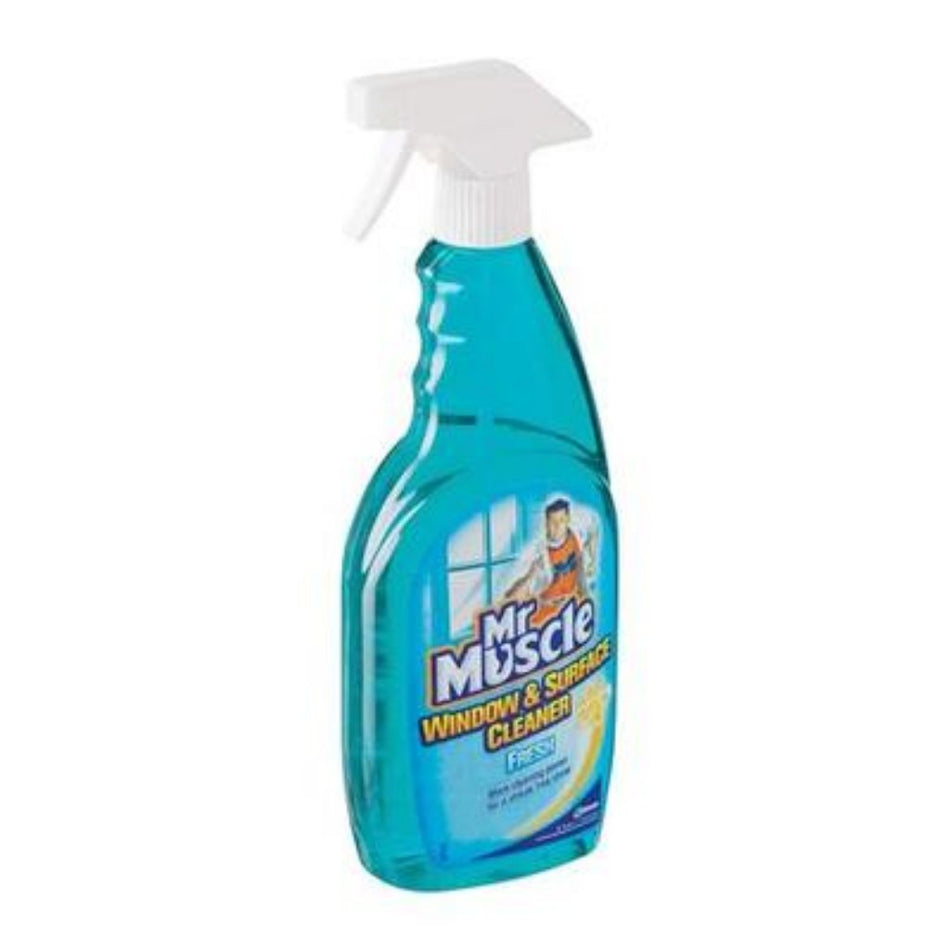 Mr Muscle Cleaner Window and Surface 750ML