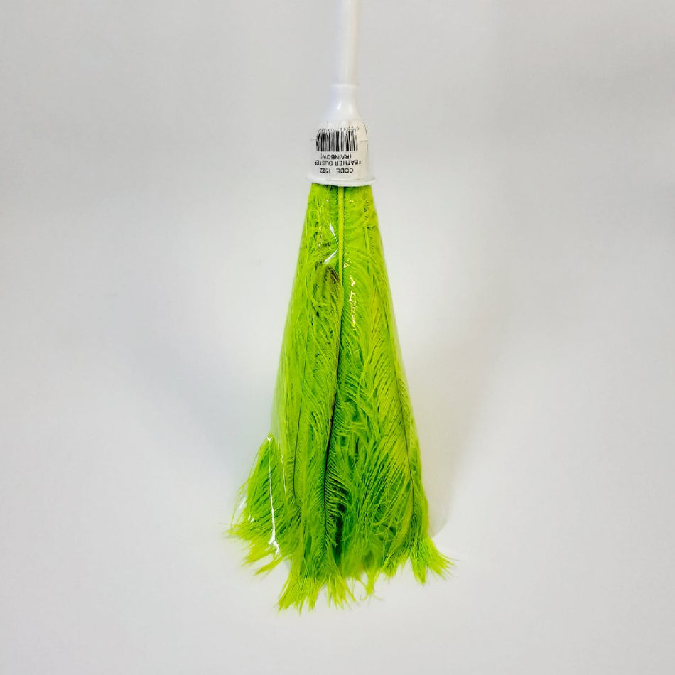 Premier Housewares Rainbow Feather Duster