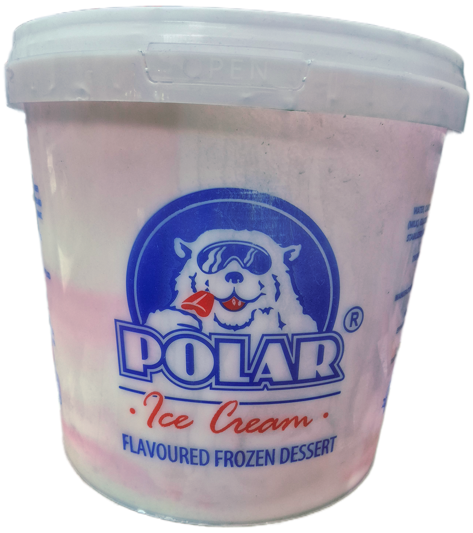 Polar Rainbow Ice Cream Bucket 2.5L