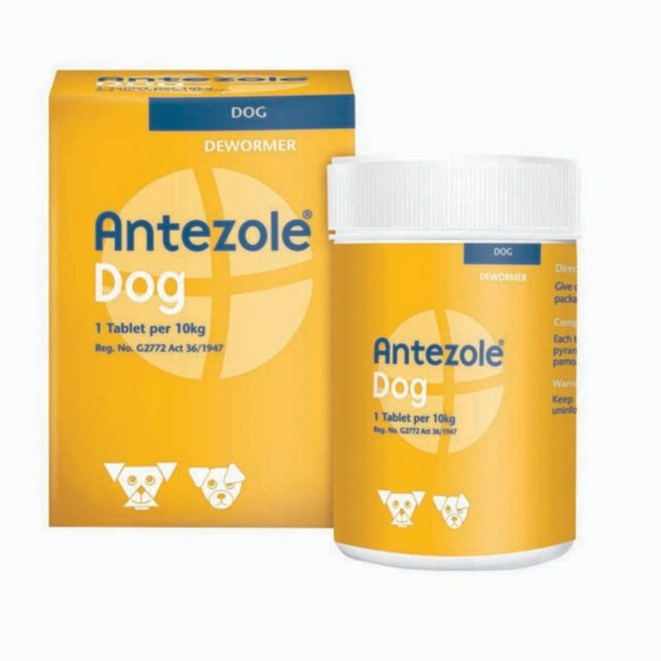 Kyron Dewormer Antezole for Dogs 50'S