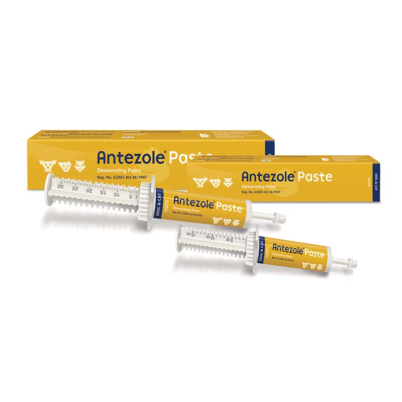 Kyron Antezole Deworming Paste 15ML