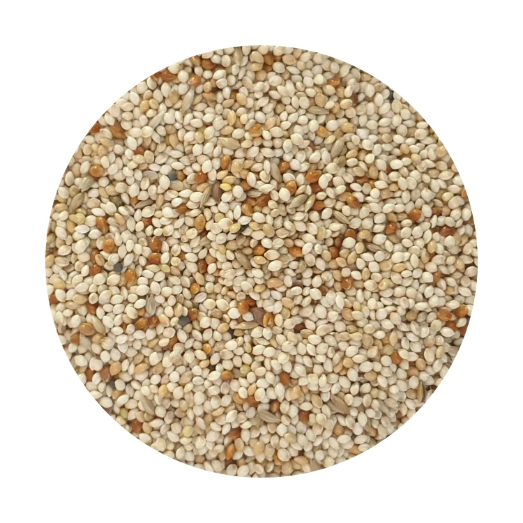 736007123001093