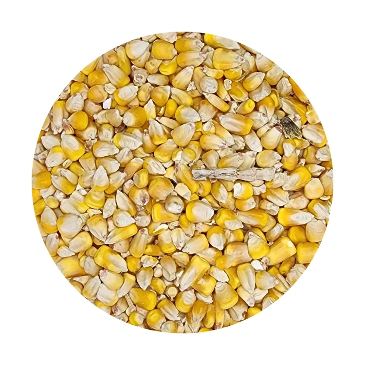 736007123001314