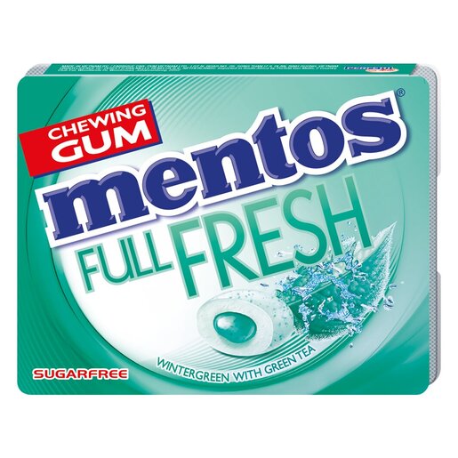 Mentos Gum Wintergreen 14G -
