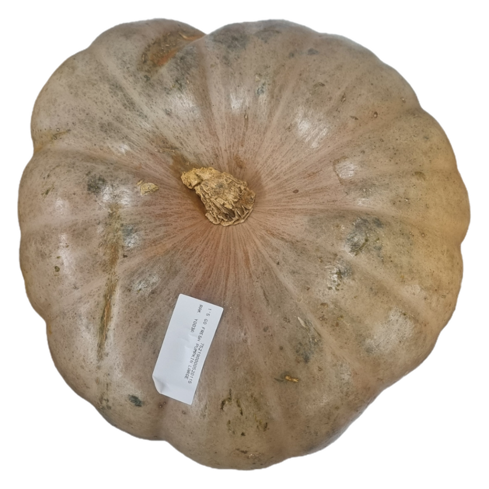 Large Pumpkin -
