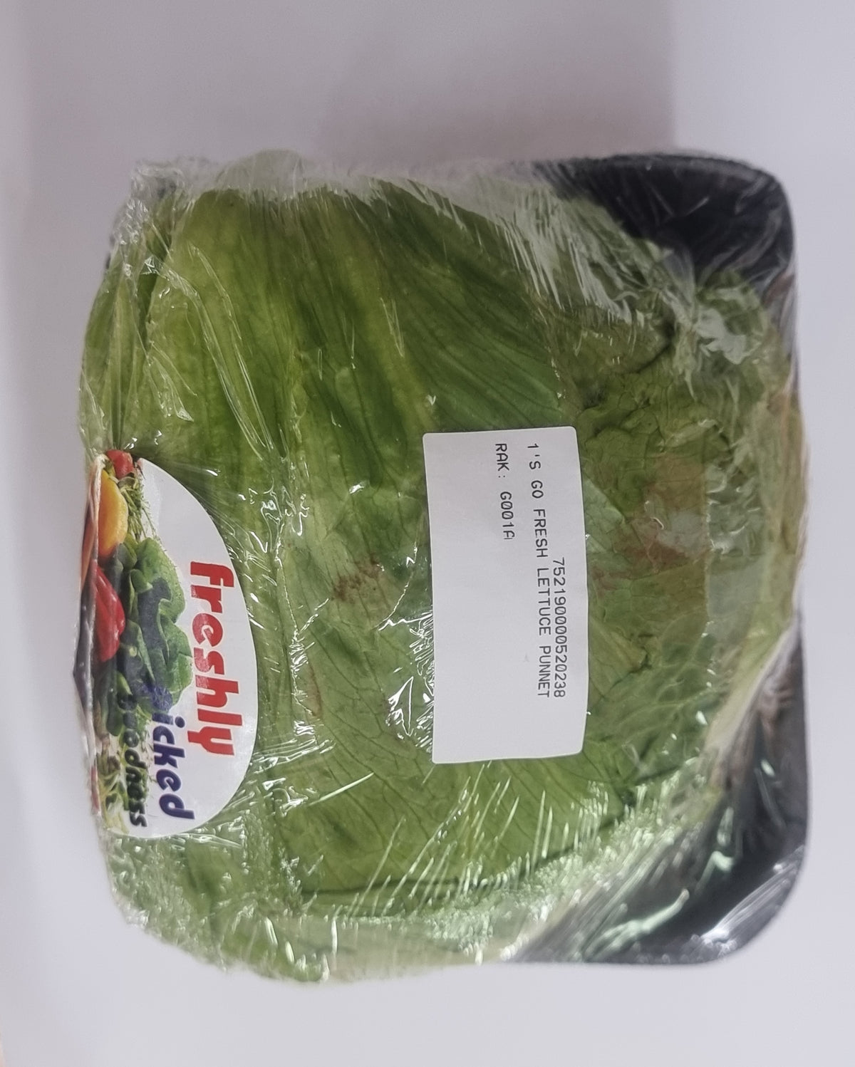 Lettuce -